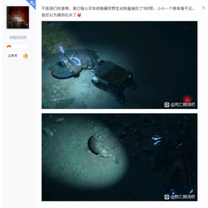 还以为是减速带呢 《死亡搁浅2》玩家撞死动物被扣赞